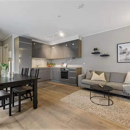 Central Apartment برغن